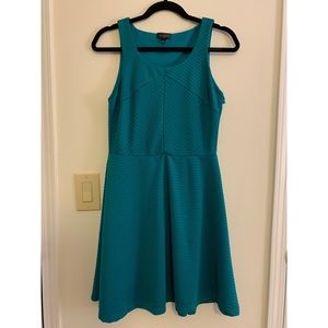 The Limited Sleeveless Flare Dress